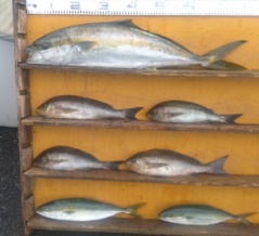 　　　　　　　　２０２５年11月9日