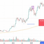 村越誠の投資資本主義