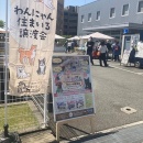 GWなので＆炊飯器でオムライス