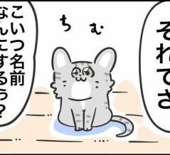 迷い猫がやってきた ③ 名前が決まりました