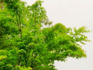 生きづらいけど、生きるしかない。