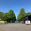 あじさいフェア　2026　　　長居植物園