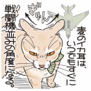 イカ耳のかたち