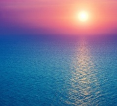 空は突き抜けるような冬晴れだが、空気は刺すように冷たい。  日記を書くという行為は、加速し続ける現代社会において、自分を「今」に繋ぎ止めるための唯一のアンカー