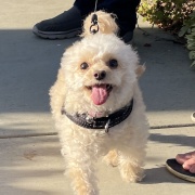 不幸から一変させた家族愛