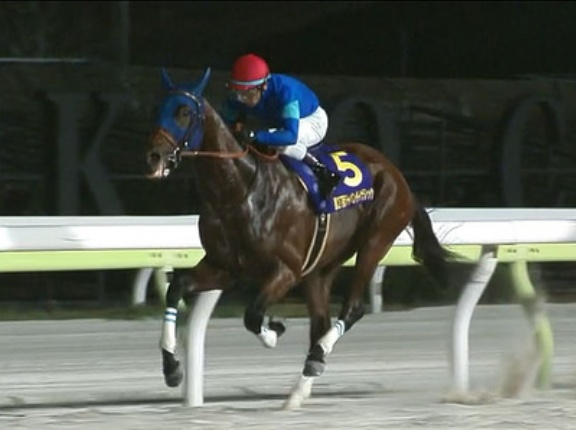 【チャンピオンズC】1番人気ナルカミの取捨