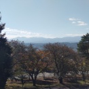 2025 10 23（木）お～い お茶