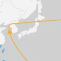 海を渡るオオソリハシシギ