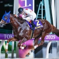 今年の帝王賞のレーティング、G1昇格基準を下回る