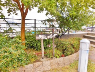 【野生動物】イノシシ大繁殖…1000頭超　悲鳴続々「田んぼ全滅」　突進で歩行者大けが　車に衝突も　栃木など