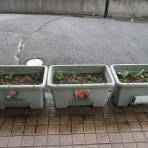 さわやか★日記