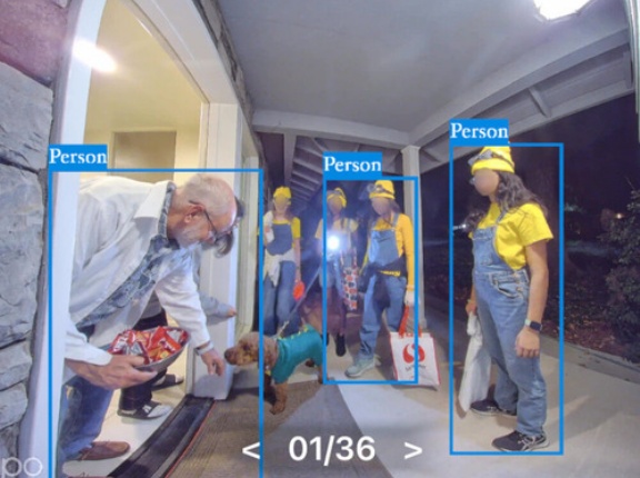 一年に一度だけ会える姉弟