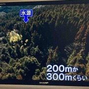 �����Ϸ뺧��ǰ���Ǥ����������ϥݥĥ�Ȱ츮��