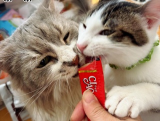 嬉しい楽しい美味しいは万能薬。