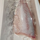 『コロナ支援特価　高知　大月ぶり半身』の画像