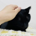Mさんのお当番日記『もぅ子供ちゃうでぇ』。