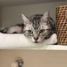 寝ちゃうんです。