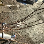 のんべえ函館のブログ