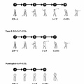 Gol-Mu Standard / Putt Styleのご案内（再）