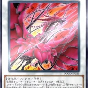 遊戯王OCG情報】ドゥーム・オブ・ディメンションズに『黒薔薇の破滅竜