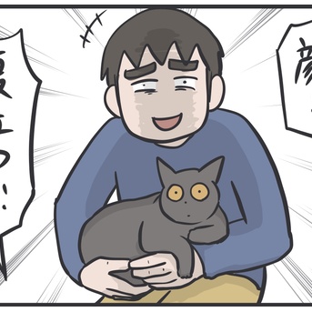 毎日夫に猫に懐かれている自慢される