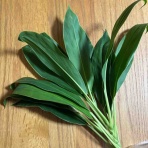 Chercherシェルシェ