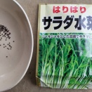 サラダ水菜　2026秋