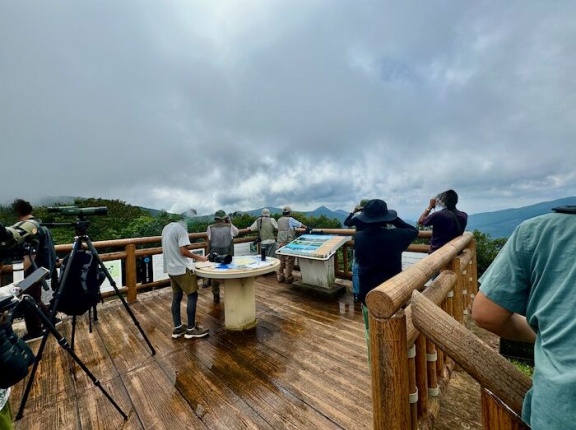 【対馬旅行9】対馬市厳原町　お食事処 じょう