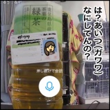 絵日記　ペットカメラ