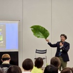 SONOアクアプランツファーム水草･海藻情報局