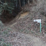 『九鬼山から御前山へ　-乾ききった山々は砂山になっていた-』の画像