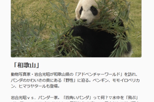 Loveパンダ 22年02月