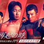 MMA The Orange