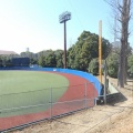 神奈川大学野球場