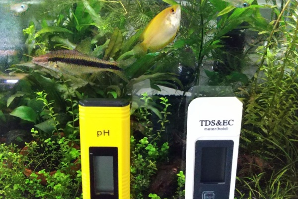 Motiのアクアリウム記録 Moti Aquarium 水槽水質測定 Motiのアクアリウム記録 Moti Aquarium 水槽水質測定