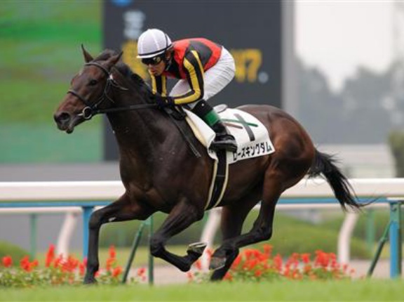 ローズキングダム(朝日杯、ジャパンカップ、神戸新聞杯、東スポ杯)←コイツ強くね？