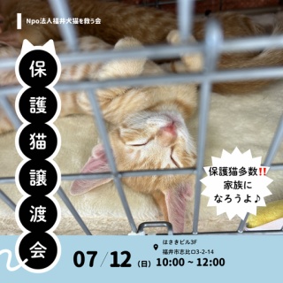 NPO法人 福井犬猫を救う会