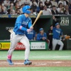 加藤豪将デビュー戦から6試合連続ヒット　清宮の持つ新人記録まであと1