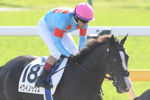 競馬ファンのこえ ダービー