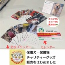 2026年カレンダーとステッカー販売中！