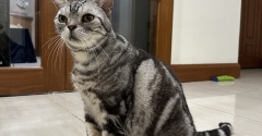 ぱずたん１４歳になりました