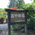 「魂（たましい）」って本当にあるのかも？そう思った話