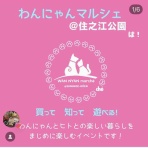 バーニーズのジョンとわんこの里親探し