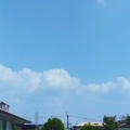 困った時の焼きそば