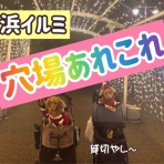 メルロコ一家の横須賀ストーリー