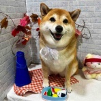 ゆうなぎ動物病院