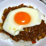 『挽肉カレー・豚丼・炒飯』の画像