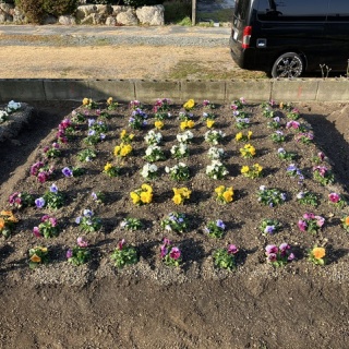 向島ポンポコ日記