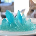 外国人「料理しよう！」JunsKitchenがクリスタルを作りながら猫と一緒に楽しんでる