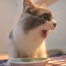 4話　王子のお食事